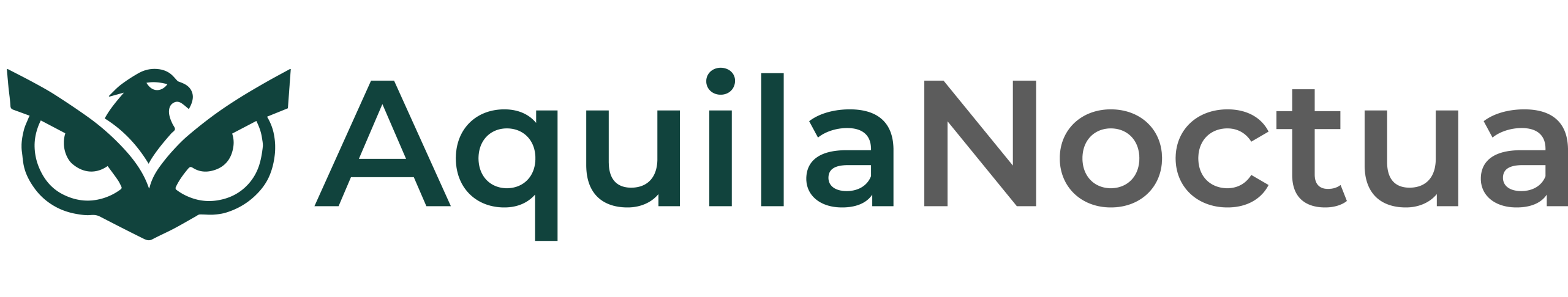 AquilaNoctua logo – strategic brand and business consultancy